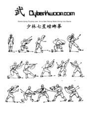 Karate Techniques Pdf